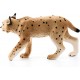 Lince Figure collection  schleich