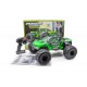 ROGUE TERRA Sport BRUSHLESS PACK - RTR MONSTER TRUCK 1:10 - Verde