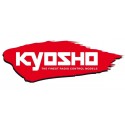 Ricambi Kyosho
